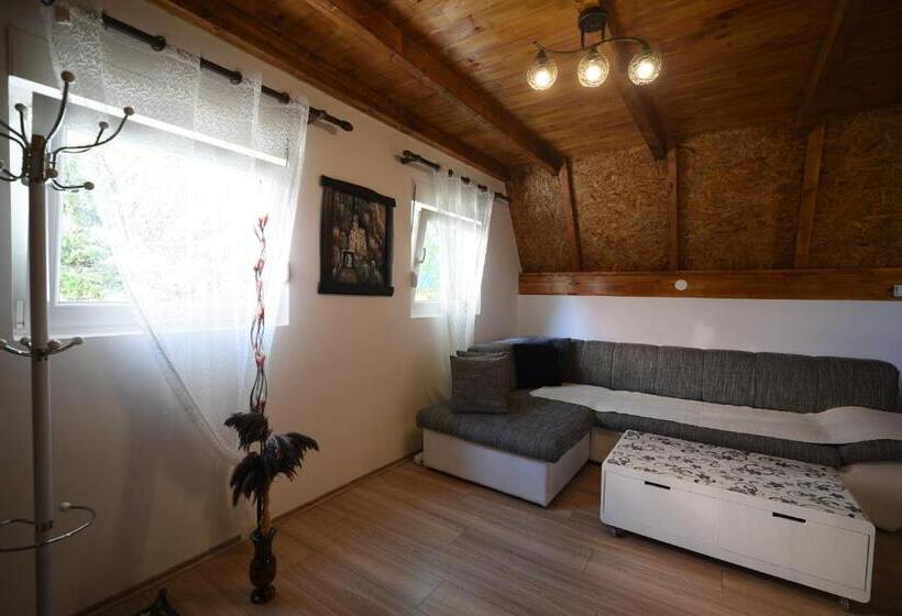 1 Bedroom Penthouse Apartment, Cabarkapa Guesthouse