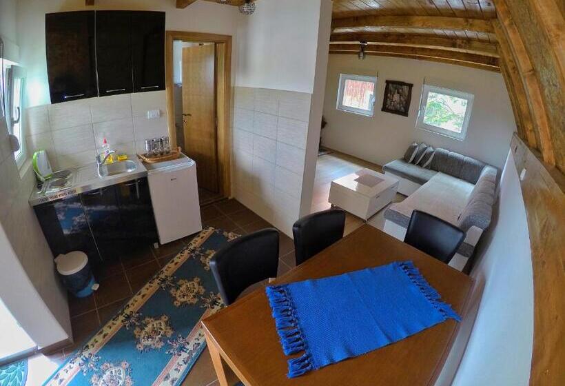1 Bedroom Penthouse Apartment, Cabarkapa Guesthouse