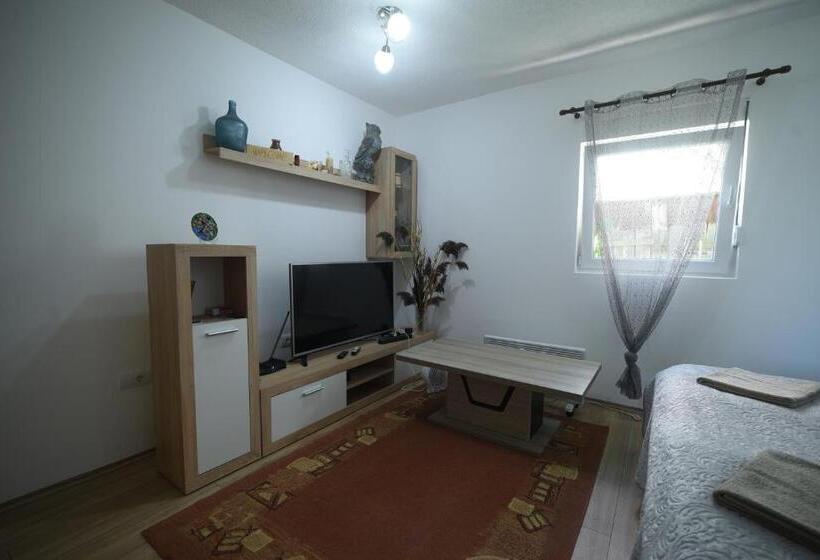 استودیوی استاندارد, Cabarkapa Guesthouse