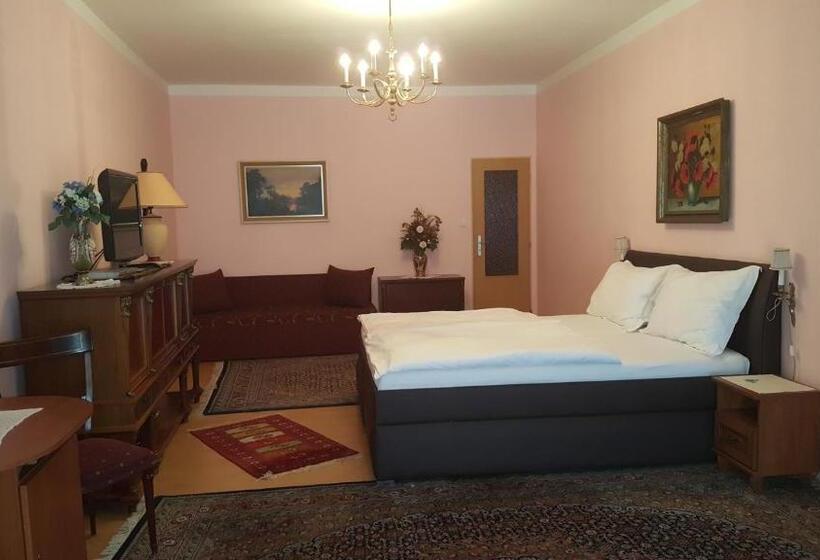 豪华房间, Penzion Piano & Apartment Sokolov