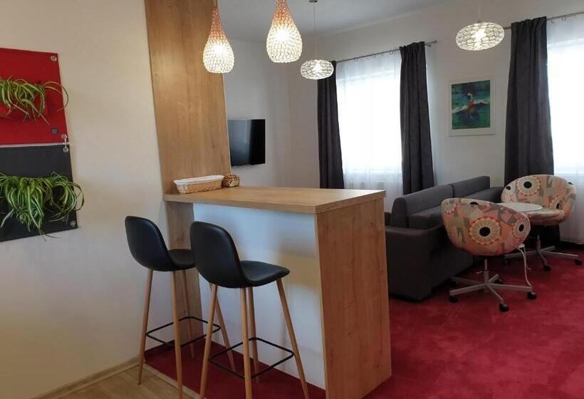 带1个卧室的公寓, Penzion Piano & Apartment Sokolov