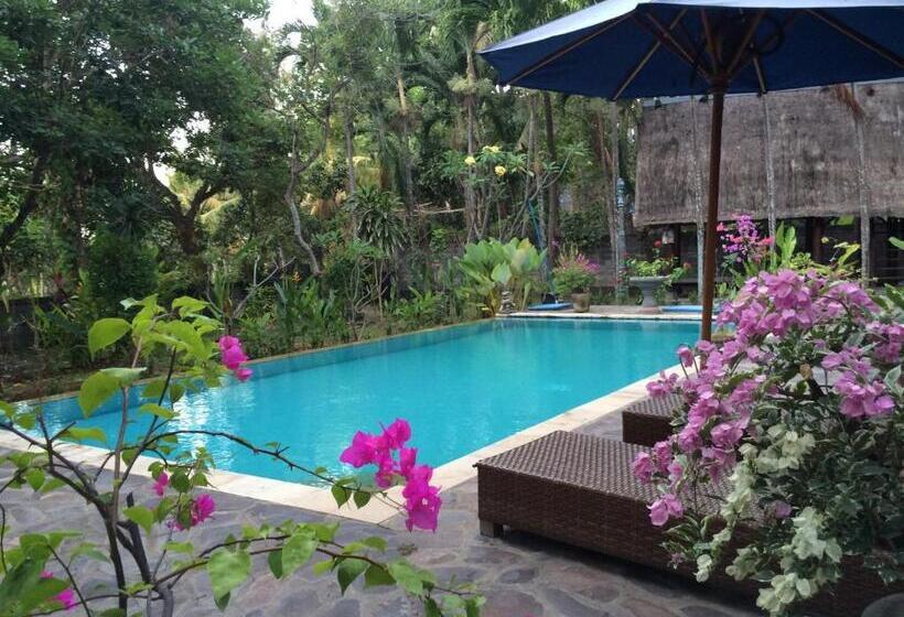 חדר סטודיו סטנדרד, Studio Lumbung