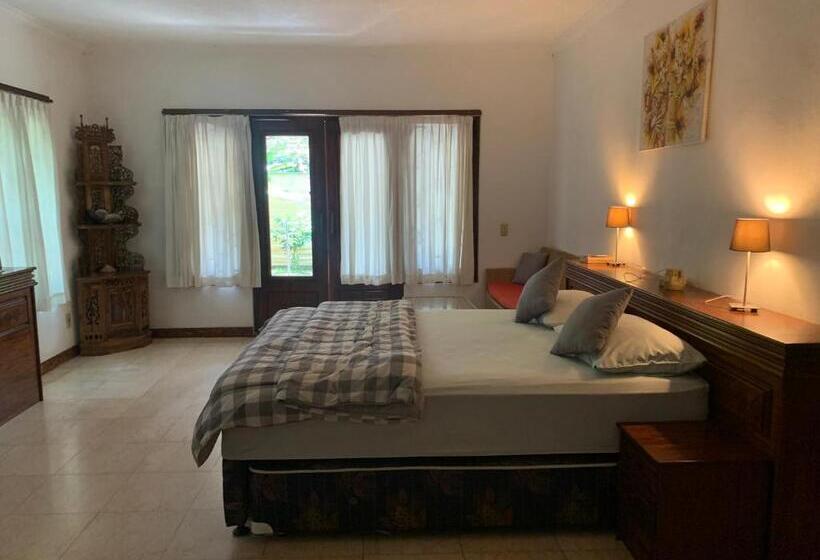 חדר סטודיו סטנדרד, Studio Lumbung