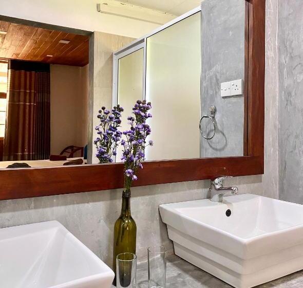 غرفة سوبيريور ثلاثية, The Dale Mirissa