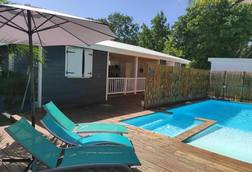 بانگلوی سوپریور, Chez Rustine Et Pompette