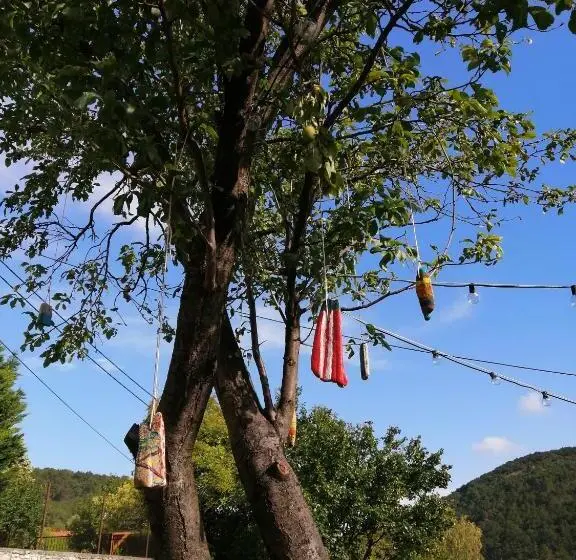 اتاق دوبلکس, Arácsi Vendégház