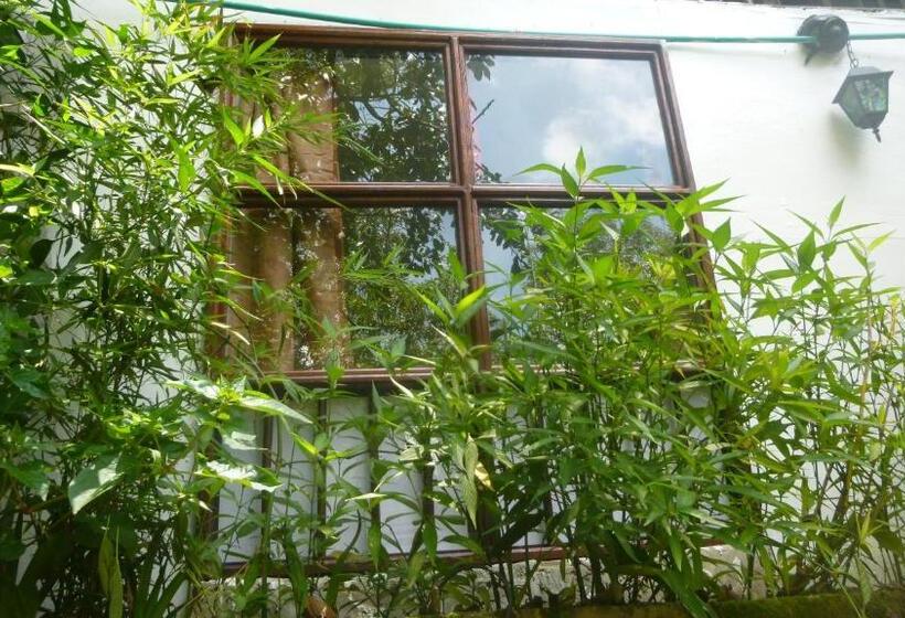 스탠다드 룸 가든 전망, Hostal Casa Artvelez