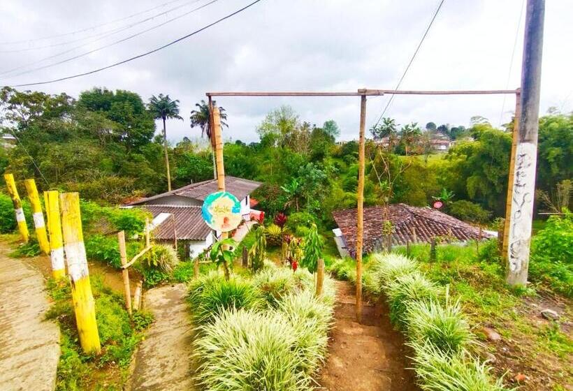 Семейный Номер, Hostal Casa Artvelez