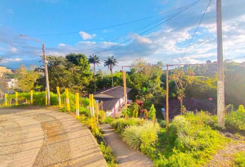 패밀리 룸, Hostal Casa Artvelez