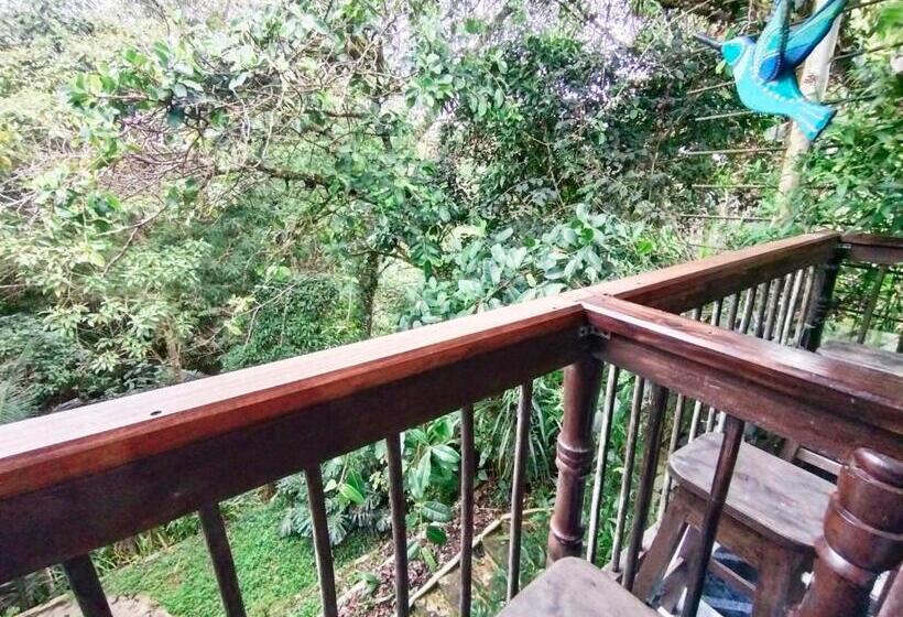 Семейный Номер, Hostal Casa Artvelez