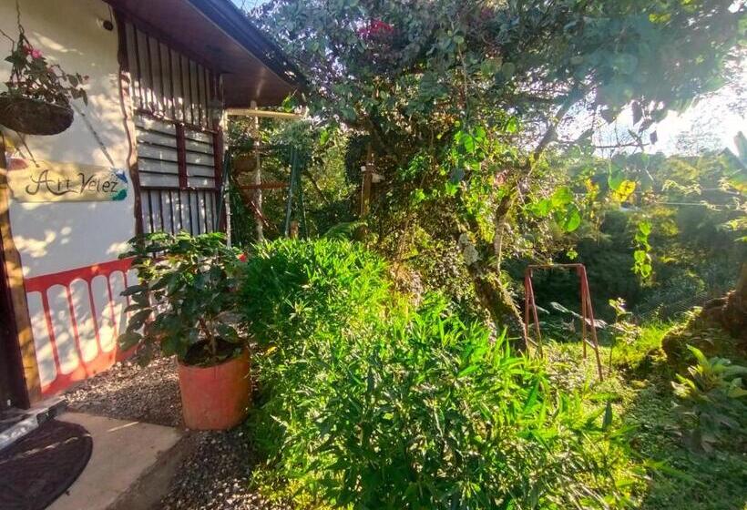 스탠다드 룸, Hostal Casa Artvelez