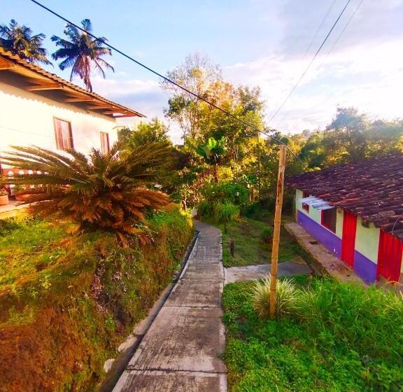 스탠다드 룸, Hostal Casa Artvelez