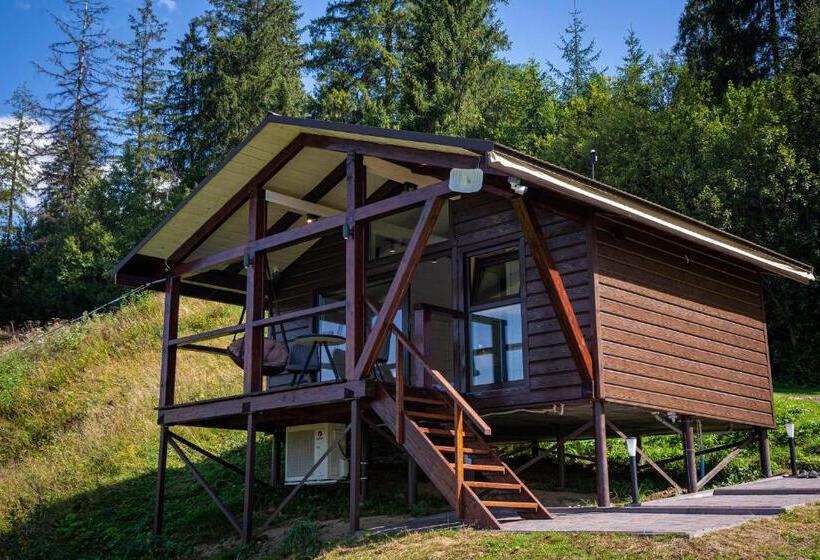 침실 1개 주택, Lisoviy Zatyshok, Z Vidkrutum Litnim Baseynom