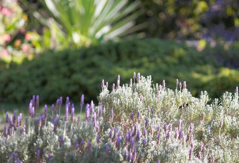 کابین, 86 On Jubilee