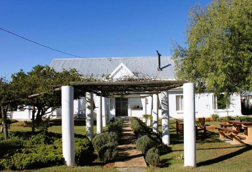 کابین, 86 On Jubilee