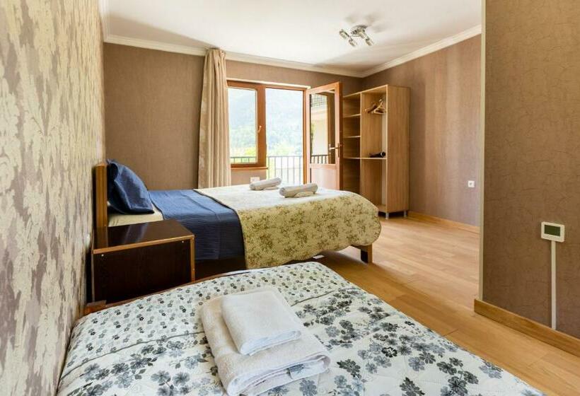 اتاق استاندارد سه نفره, Level