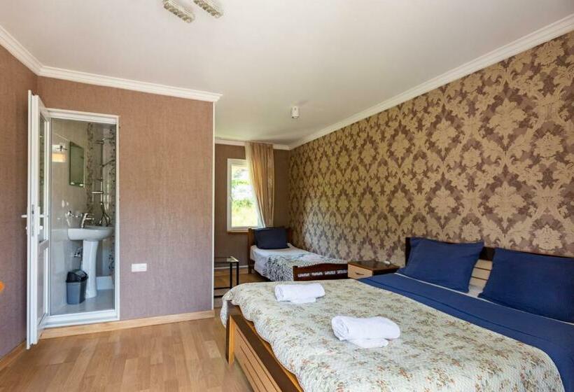 اتاق استاندارد سه نفره, Level