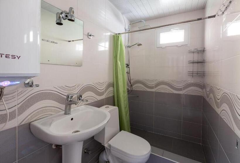 اتاق استاندارد سه نفره, Level