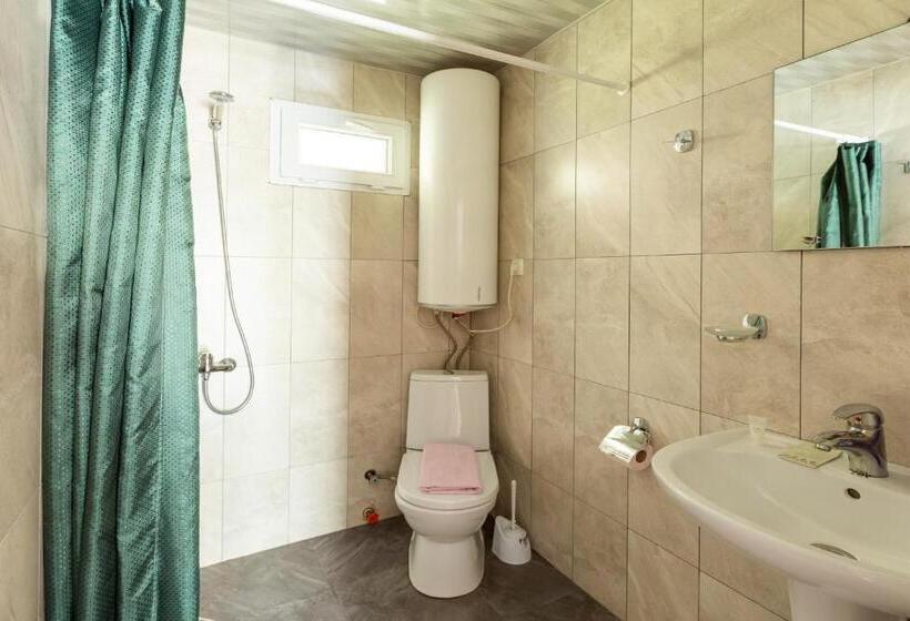 اتاق استاندارد سه نفره, Level