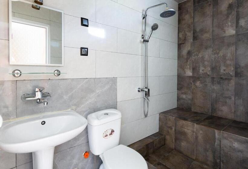 اتاق استاندارد, Level