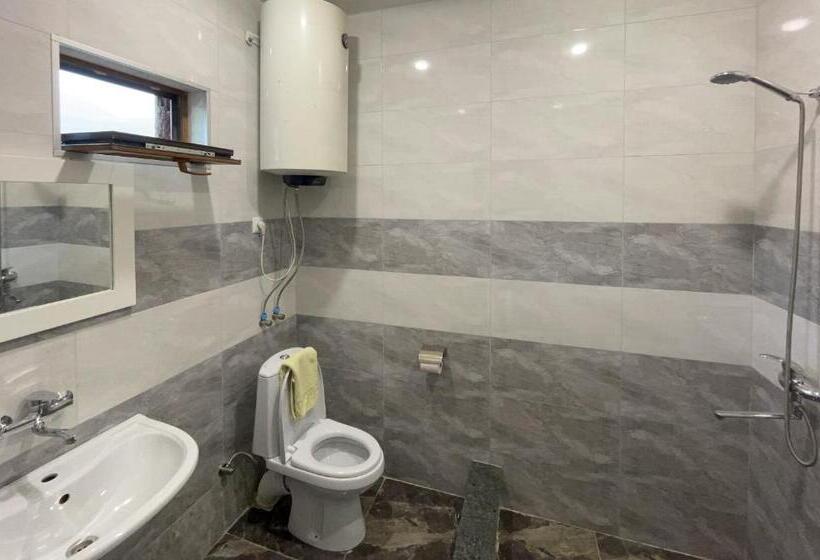 اتاق اکونومی, Level