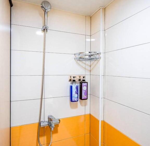 اتاق استاندارد یک تخته با سرویس بهداشتی مشترک, Start