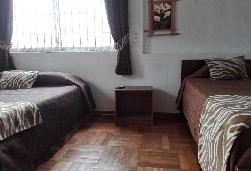 اتاق خانوادگی با سرویس بهداشتی مشترک, Hostal Tunquelen