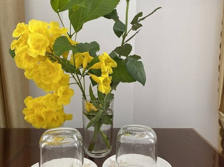 اتاق استاندارد, Nha Khach Con Dao