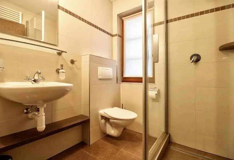 Standard-huone, Penzion Villa Alena