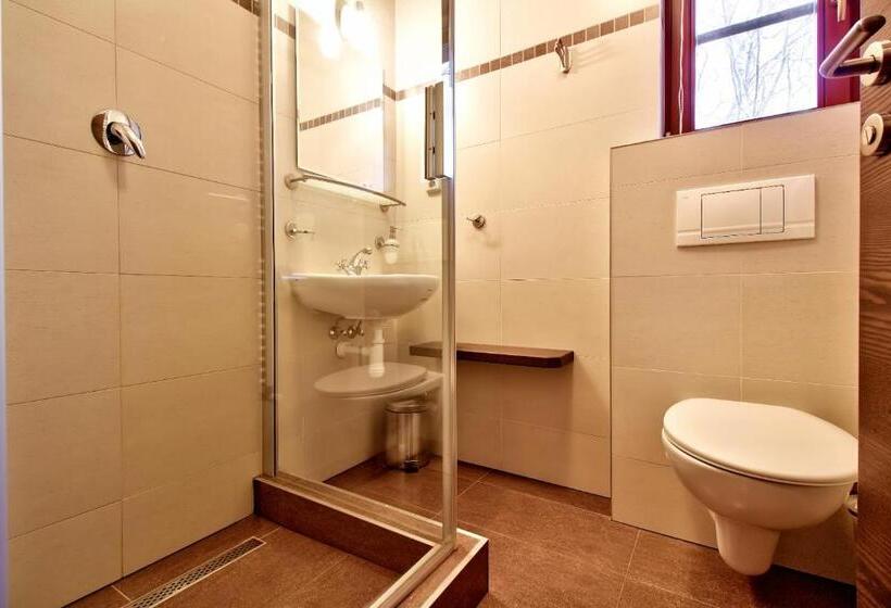 اتاق استاندارد, Penzion Villa Alena