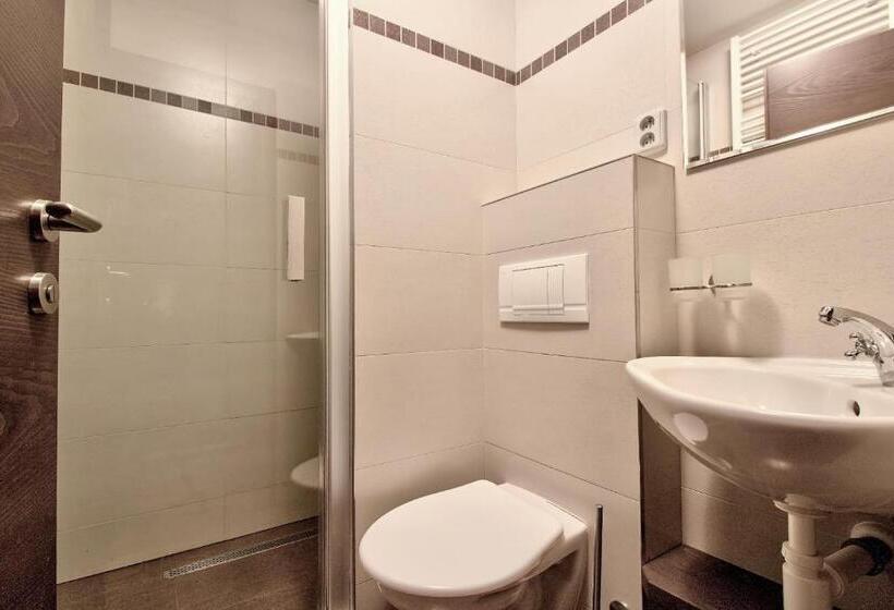 اتاق استاندارد چهار تخته, Penzion Villa Alena