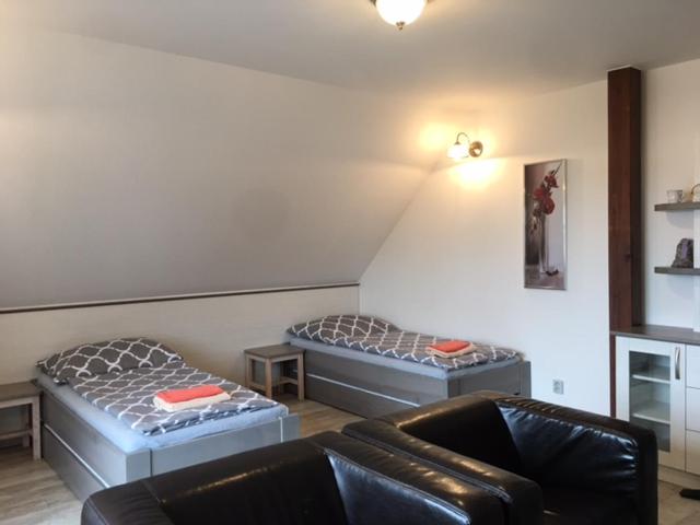 سوییت خانوادگی, Penzion Villa Alena