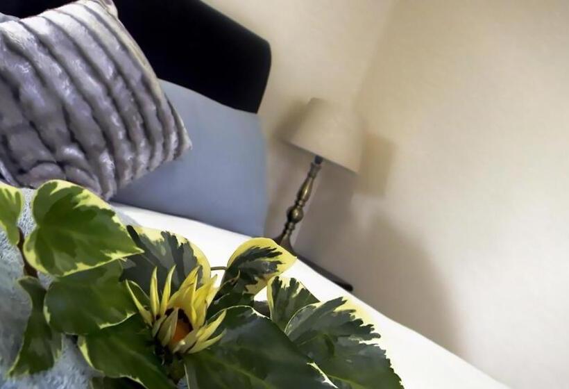 Номер Deluxe, Zamar Guest House