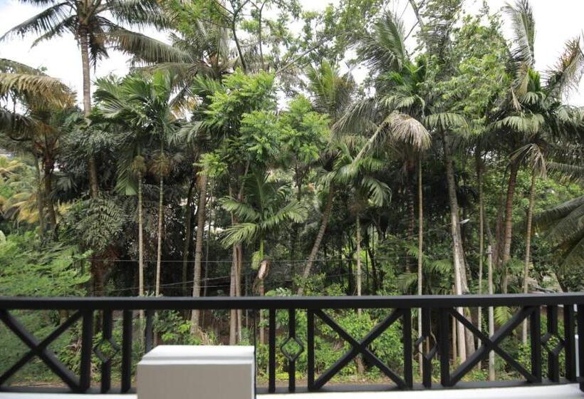 Номер Стандарт с Балконом, Renuka Inn