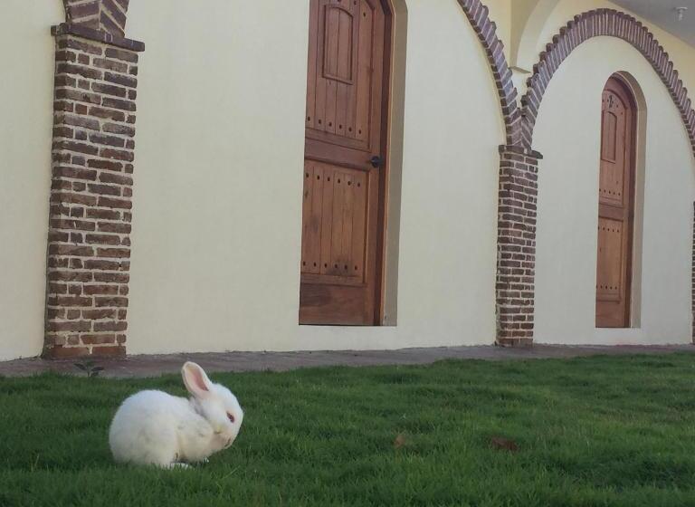 חדר דלוקס, Yamilí