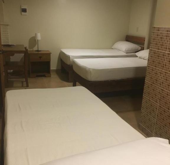 דירת חדר נוף לגינה, Yamilí