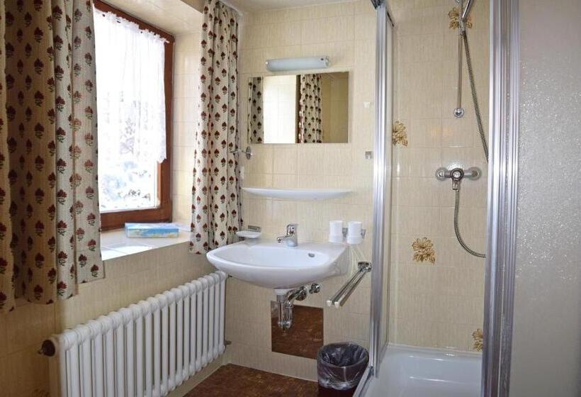 스탠다드 룸 산 전망, Der Berghof