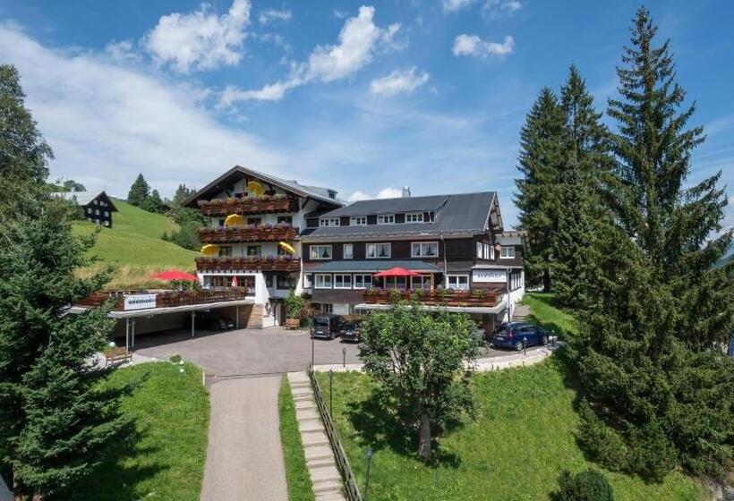 Номер Стандарт с Балконом, Der Berghof