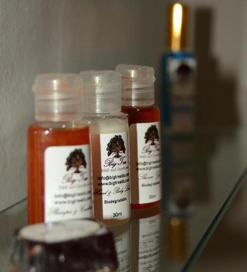 Economy Kamer, Big Tree Midrand