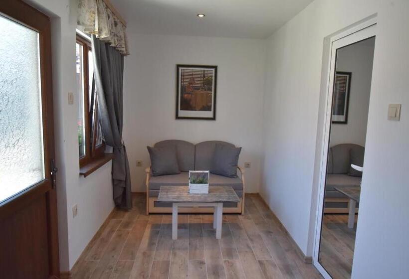 Студия Стандарт, Guest House Zlateya