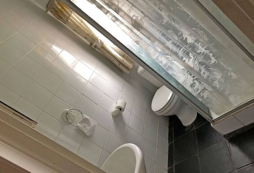 １ベッドルームアパートメント, Hills And Dales Accommodation