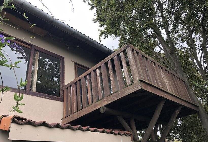 ２ベッドルームアパートメント, Hills And Dales Accommodation