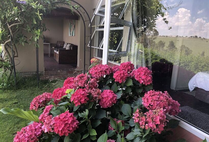 １ベッドルームアパートメント, Hills And Dales Accommodation