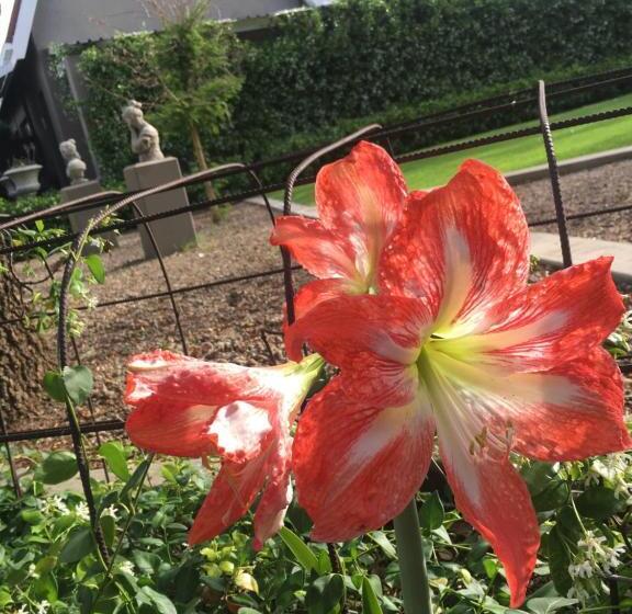 エクゼクティブスイート, Villa Brocant Guest House