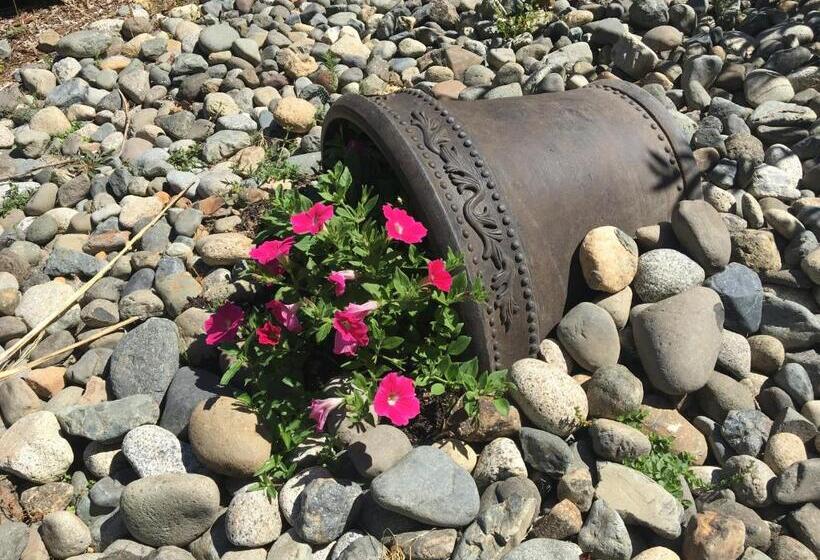 בקתה, Ashling Cottage