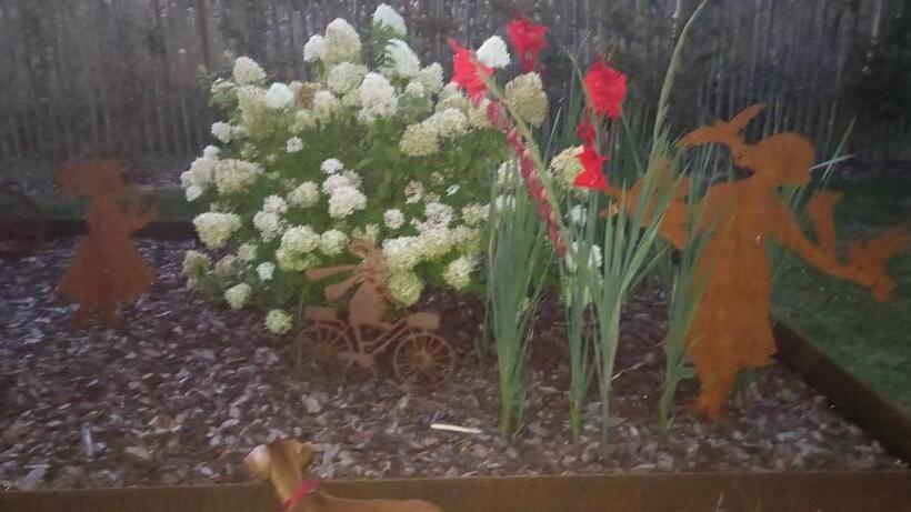 Люкс, Le Relais De Chassepierre