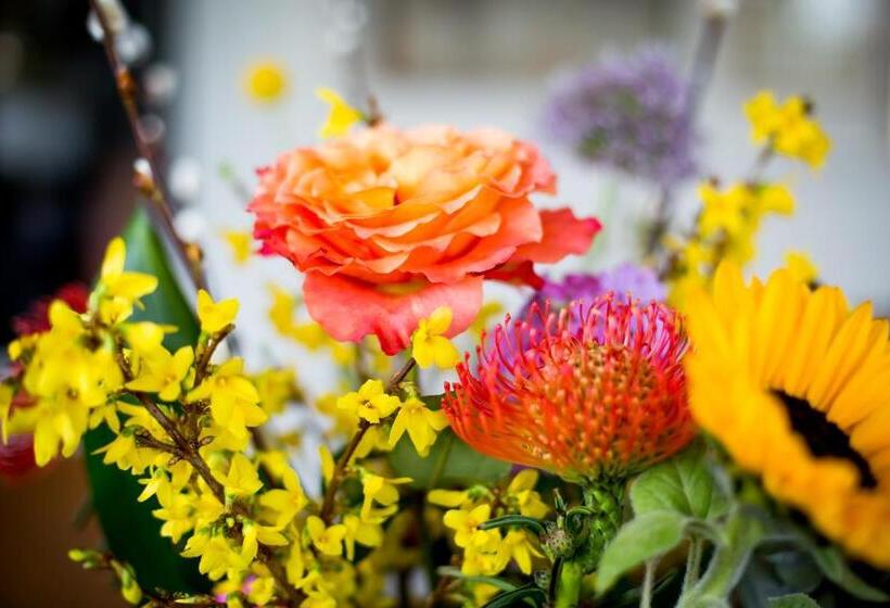 Deluxe room with river view, Logement Aan De Vecht