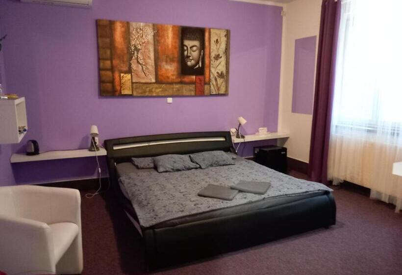 Номер Стандарт, Penzion Vulture Ostrava