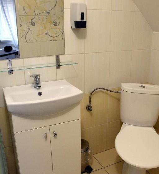 Номер Deluxe, Penzion Vulture Ostrava