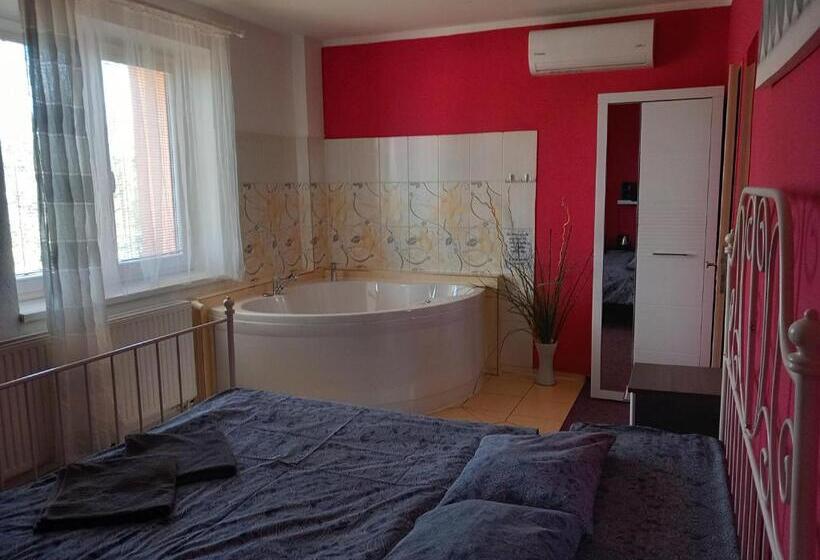 Номер Deluxe, Penzion Vulture Ostrava